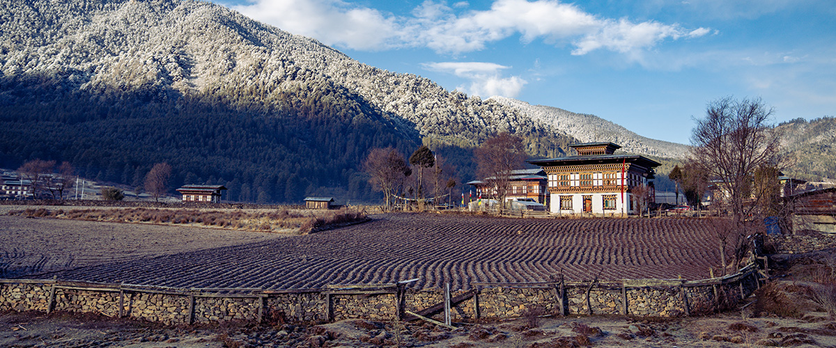 Phobjikha Valley